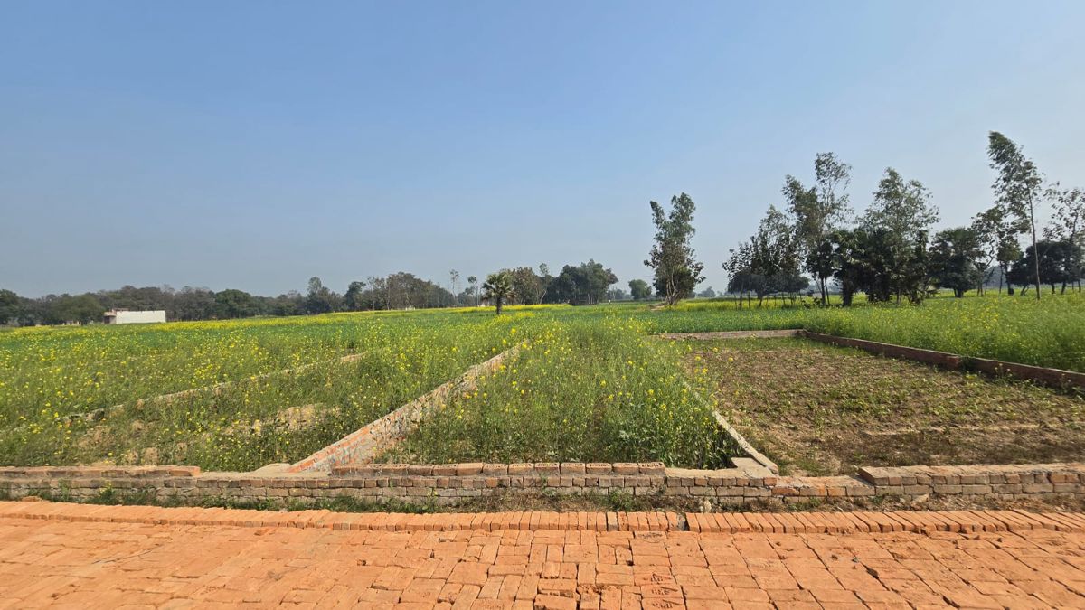 Plot For Sale in Motiram Adda