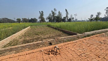 Plot Area in  Plot at Motiram Adda – for Sale