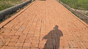   Plot at Motiram Adda – for Sale