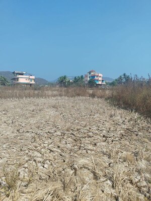 Plot Area in  Plot at Pen – for Sale