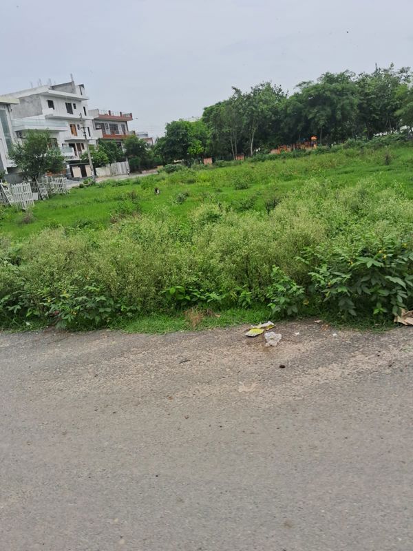 Plot For Sale in Sector 62