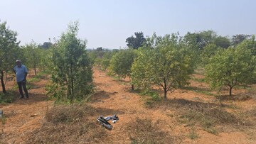 Plot Area in  Plot at Shadnagar – for Sale