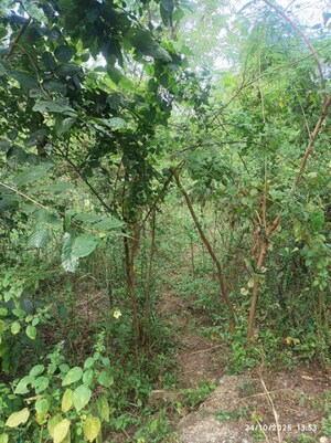  Plot – Exterior View View at Boisar - for Sale