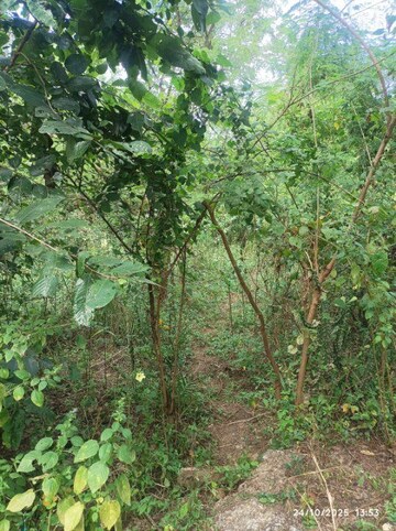  Plot – Exterior View View at Boisar - for Sale