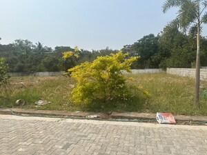 Plot Area in  Plot at Kechery – for Sale