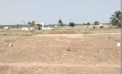 Plot For Sale in Sector 77