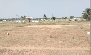  Plot For Sale in Sector 77