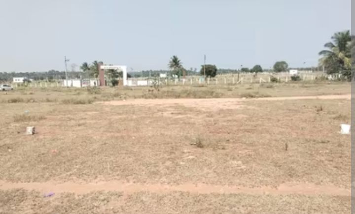 Plot For Sale in Sector 77