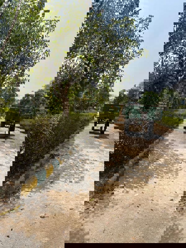 Plot Area in  Plot at Jewar – for Sale