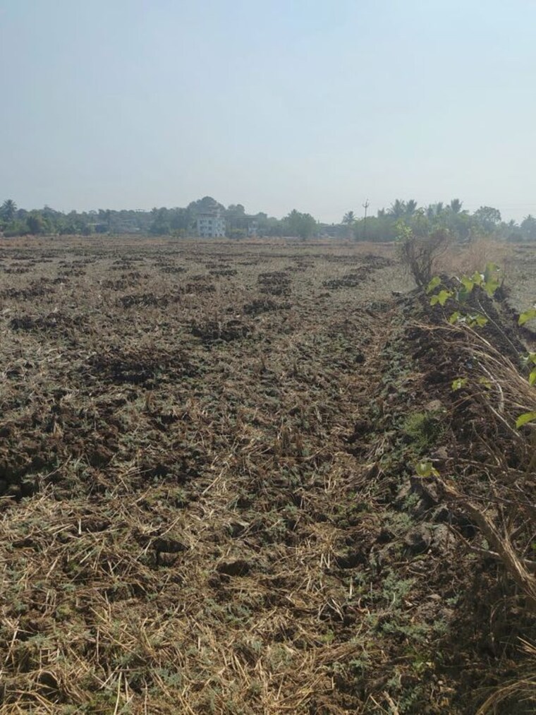 undefined, sector 7 dronagiri  1500 Sq.Ft. Plot In Sector 7 Dronagiri Navi Mumbai 9941446