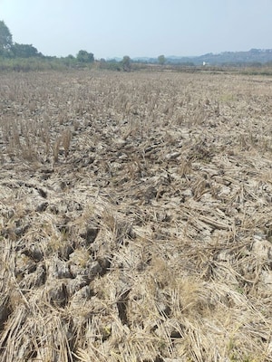 Plot Area in  Land at Jui – for Sale