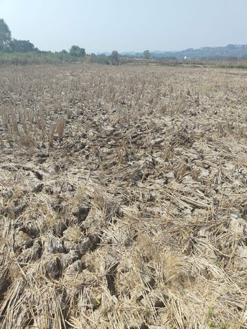 Plot Area in  Land at Jui – for Sale