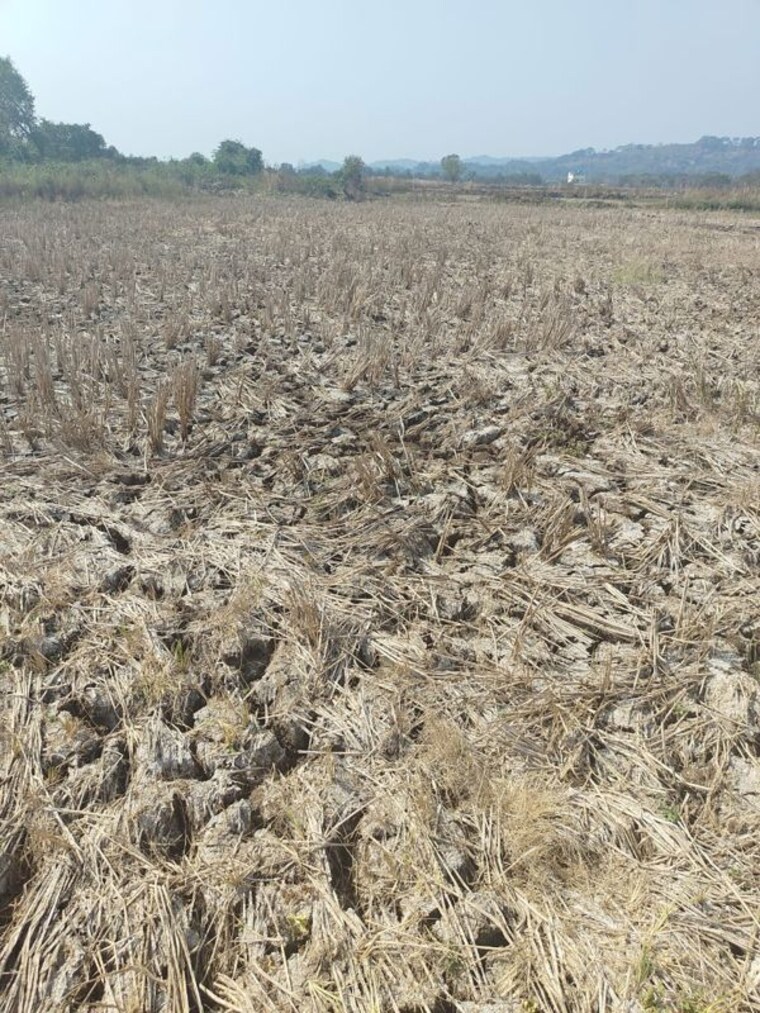 undefined, jui Commercial Land 1000 Sq.Ft. In Jui Navi Mumbai 9941981