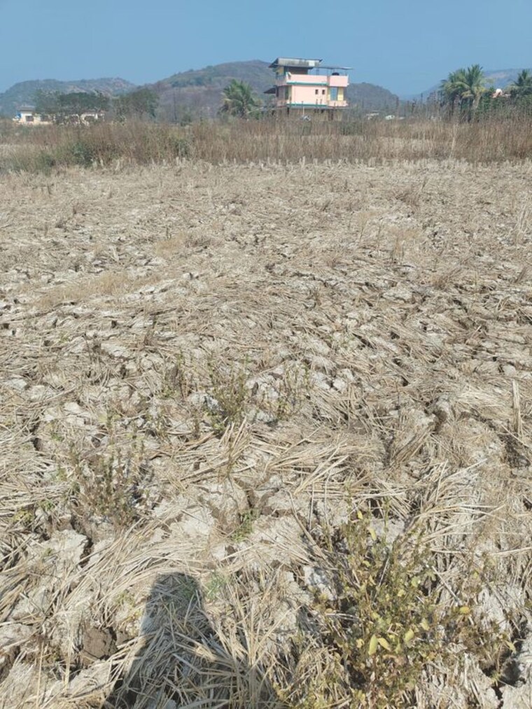 undefined, jui Commercial Land 1000 Sq.Ft. In Jui Navi Mumbai 9941981