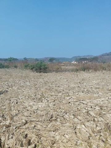 Plot Area in  Land at Jui – for Sale