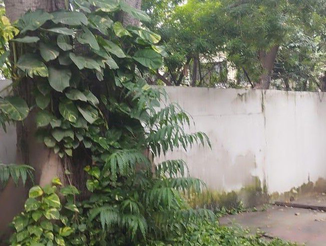Plot For Sale in DLF City Phase IV