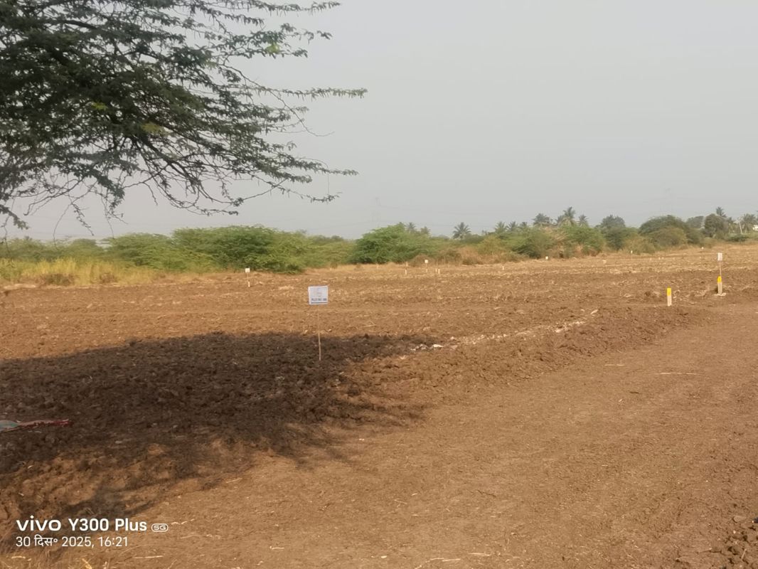 Plot For Sale in Wagholi