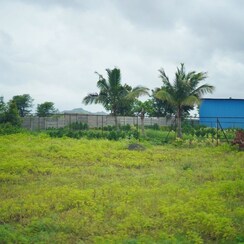 Plot For Sale in Wagholi