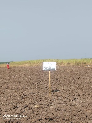  Plot For Sale in Wagholi