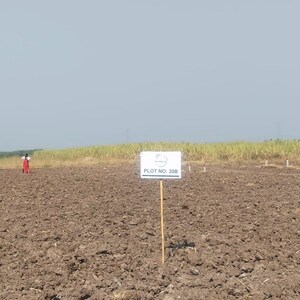  Land For Sale in Wagholi
