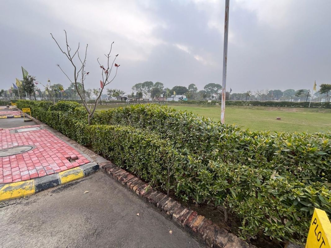 Plot For Sale in Sector 98