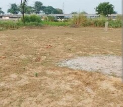 Plot For Sale in Sector 77