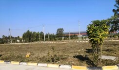 Plot For Sale in Sector 77