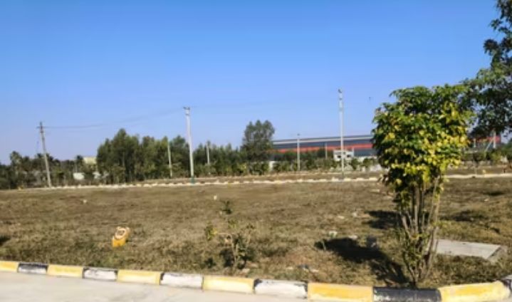 Plot For Sale in Sector 77