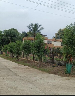  Plot – Exterior View View at Dongargaon - for Sale