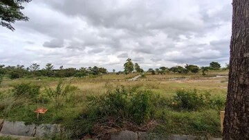  Plot For Sale in Dongargaon