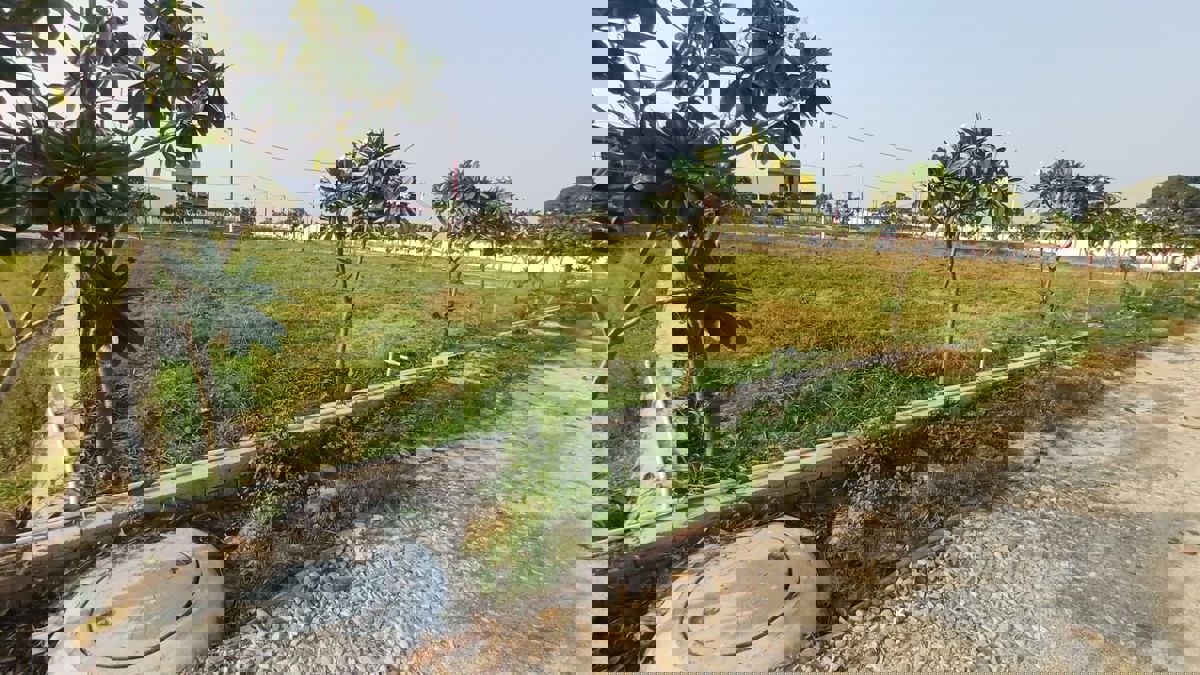 Plot Area in  Plot at Modipuram Bypass – for Sale