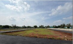 Plot For Sale in Sector 77
