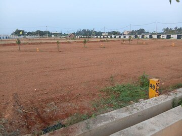 Plot Area in  Plot at Panjappur – for Sale