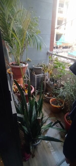 Balcony in 3 BHK Builder Floor at Vipin Garden – for Sale