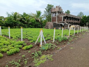 Plot Area in  Plot at Palghar – for Sale