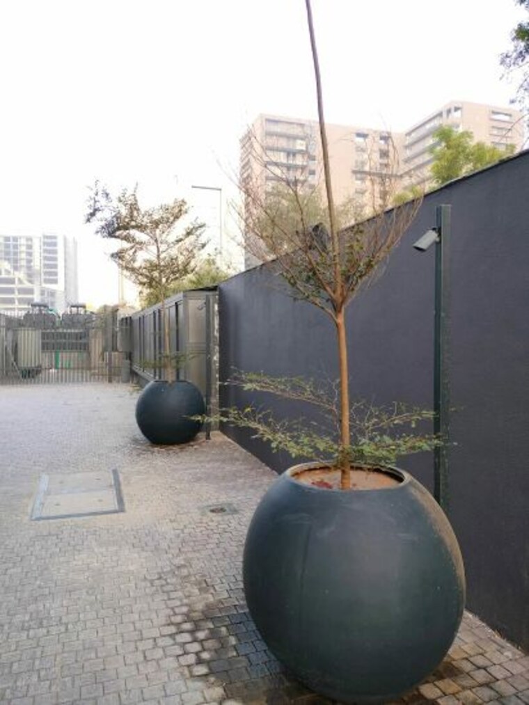 Garden, ambli Commercial Office Space 750 Sq.Ft. In Ambli Ahmedabad 9943019