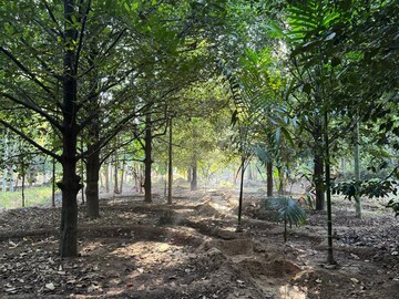 Plot Area in  Plot at Mala – for Sale