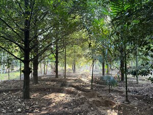 Plot Area in  Plot at Mala – for Sale