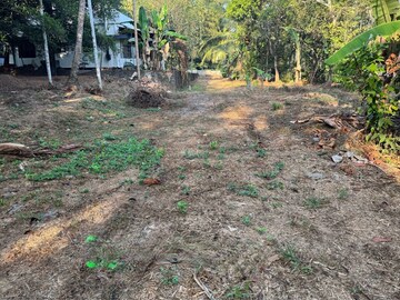  Plot For Sale in Mala