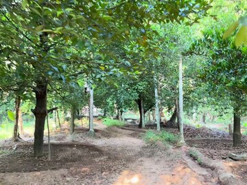 Plot Area in  Plot at Mala – for Sale