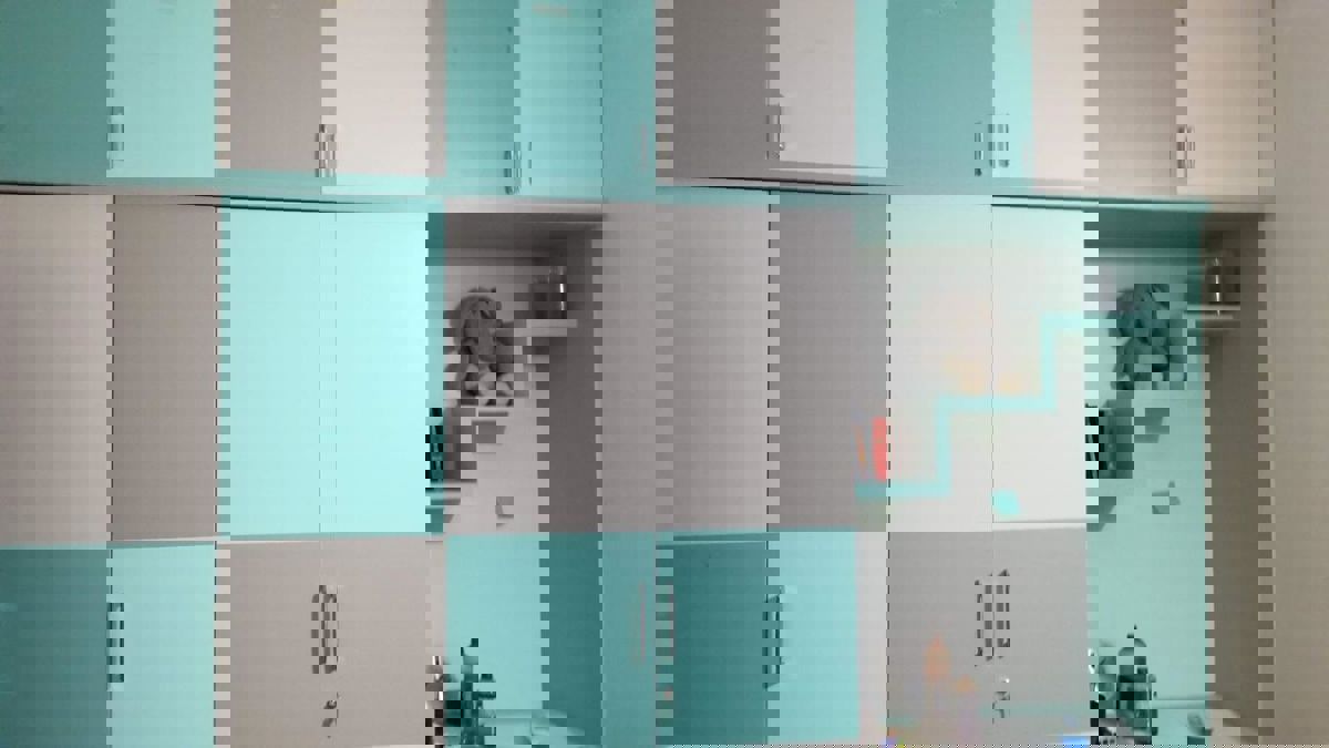 2 BHK + Pooja Room 917 Sq.Ft. Apartment in Shriram Luxor