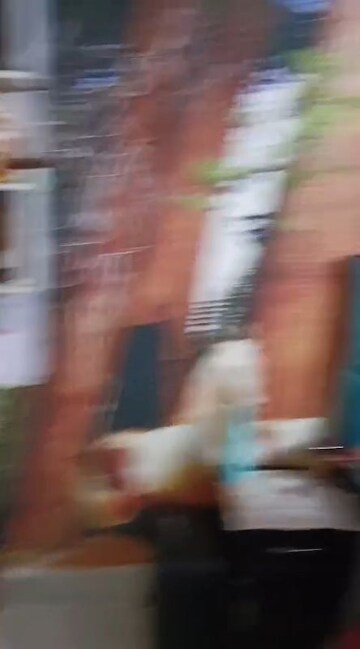 Staircase in 3 BHK Builder Floor at Vipin Garden – for Sale