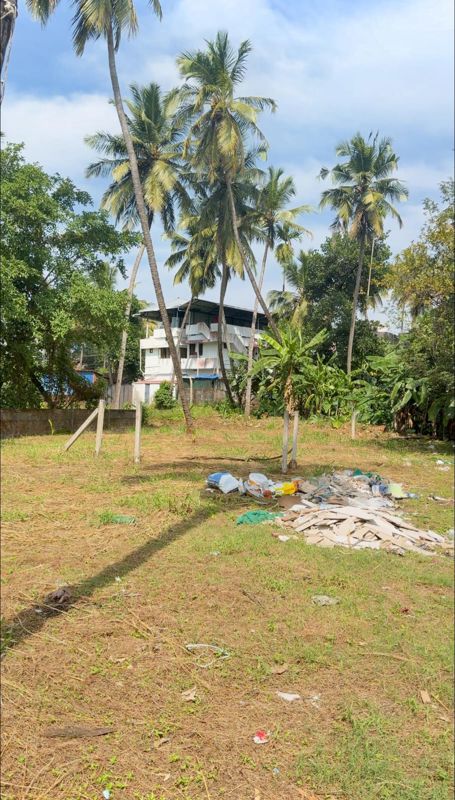 Plot For Sale in Ayyanthole