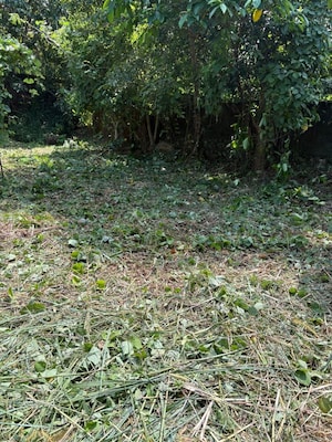 Plot Area in  Plot at Velappaya – for Sale