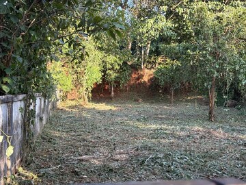 Plot Area in  Plot at Velappaya – for Sale