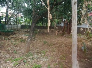 Plot Area in  Plot at Kuriachira – for Sale