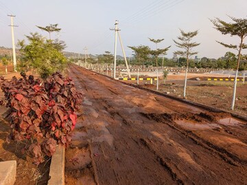 Plot Area in  Plot at Nimz County, Kamkole – for Sale