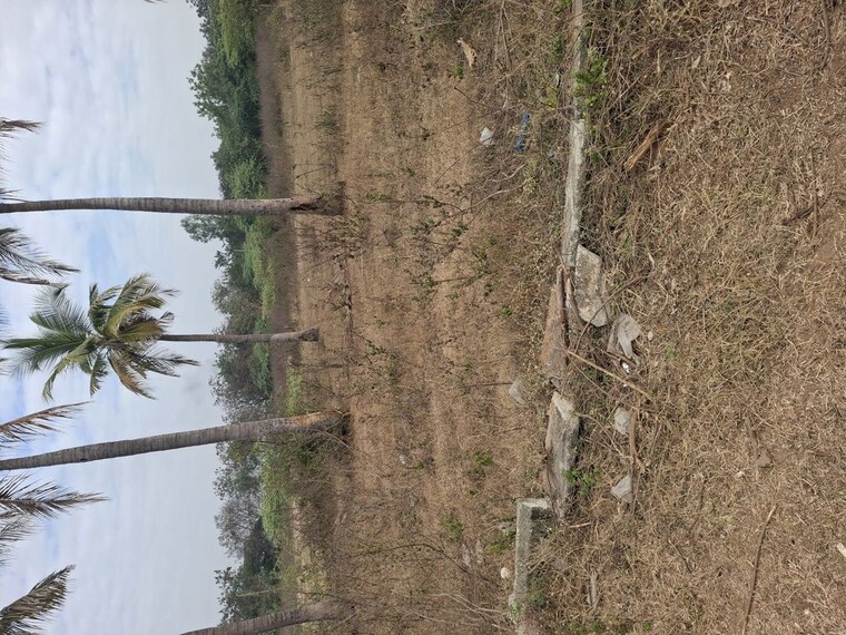 undefined, sangareddy  250 Sq.Yd. Plot In Sangareddy Hyderabad 9944378