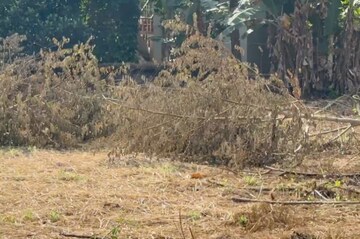 Plot Area in  Plot at Kuriachira – for Sale