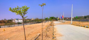 Plot Area in  Plot at Kadthal – for Sale